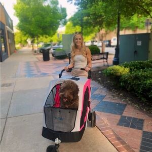 Meet your Posher, Alexis